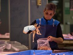 «Estimo el meu mercat» al Mercat de Salt