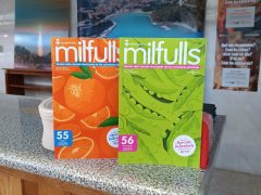 Imatge_7_milfulls
